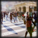 display days / bundles